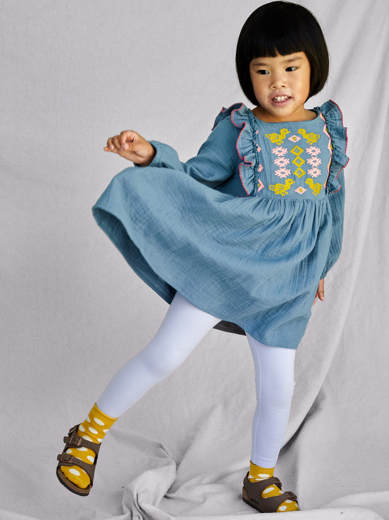Embroidered Ruffle Dress