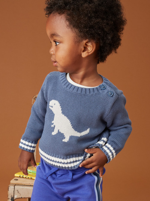 Baby Dino Sweater