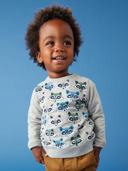 Raccoon Baby Popover
