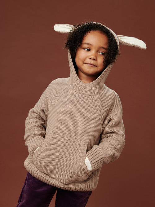 Rabbit Ear Pullover Sweater