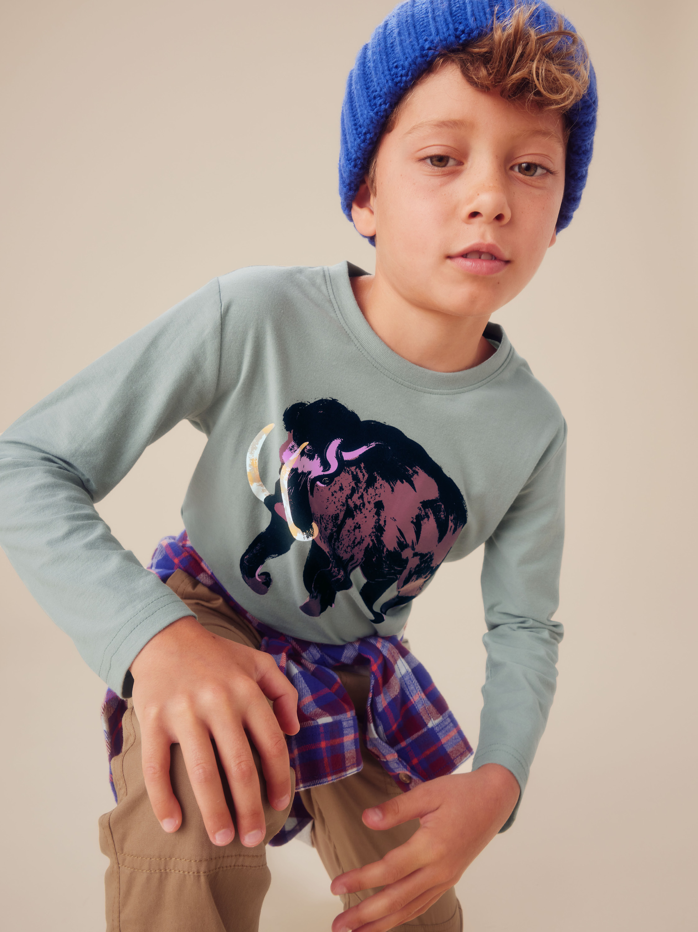 Mammoth Graphic Tee | Tea Collection